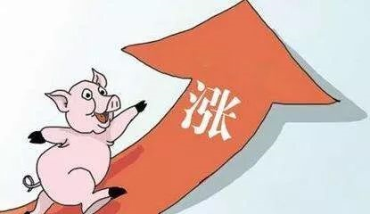 豬肉漲價吃不起，你竟然要怨環保？